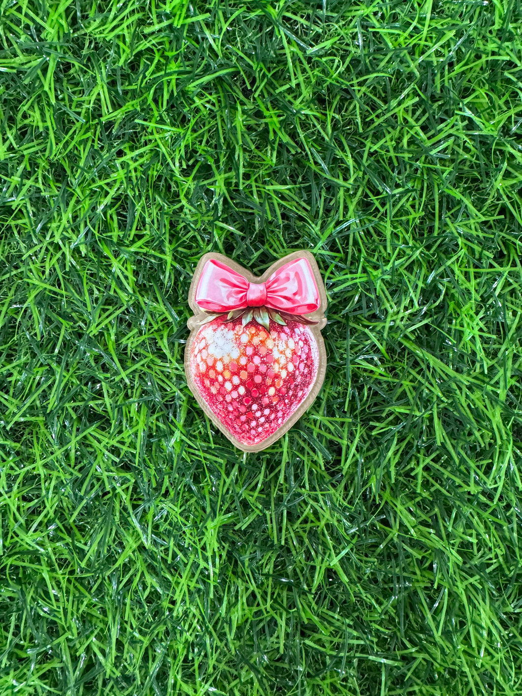 Shimmer Strawberry Acrylic Blank & Decal Set